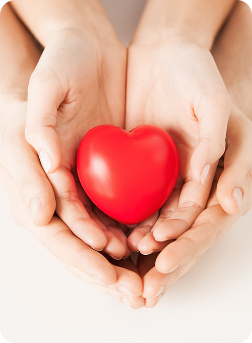 하나로드림 소개